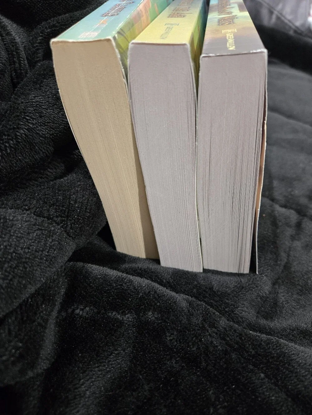 Howls Moving Castle, Castle in the Air, and House of Many Ways Book Set - Picture 3 of 5